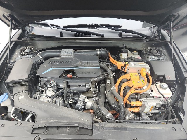 lotterental_155259956_mI4jn_3.jpg
