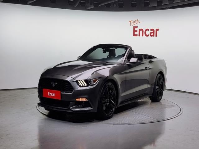 lotterental_095022476_N1Yne_1.jpg
