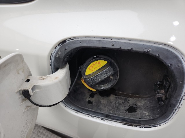 lotterental_095044260_JHa1V_9.jpg