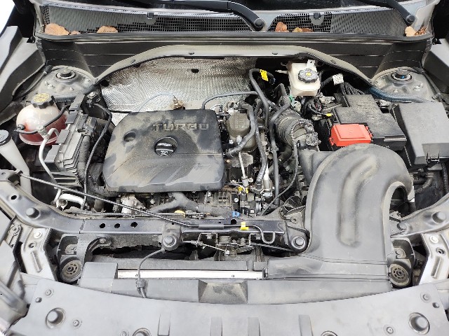 lotterental_154458125_Lh6UH_9.jpg