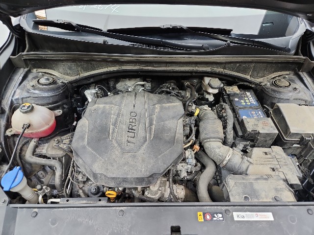 lotterental_162835910_u8U7U_10.jpg