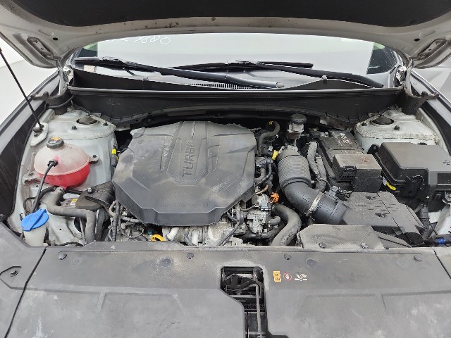 lotterental_095618628_YZ9n4_9.jpg