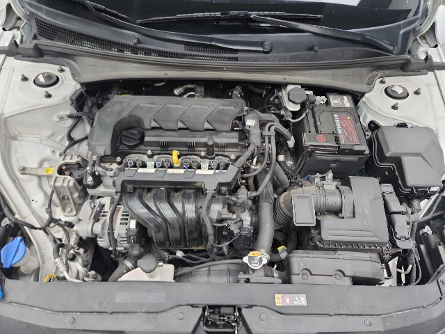 lotterental_155610904_oozlz_9.jpg