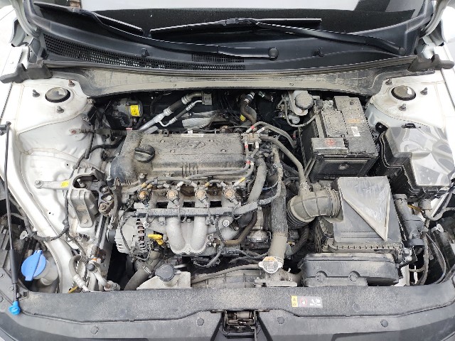 lotterental_113246582_ZF3Yw_10.jpg
