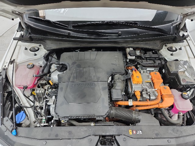 lotterental_203952313_x9RI5_7.jpg