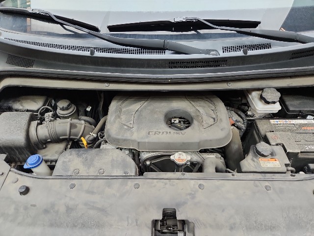 lotterental_010807818_SPzii_7.jpg