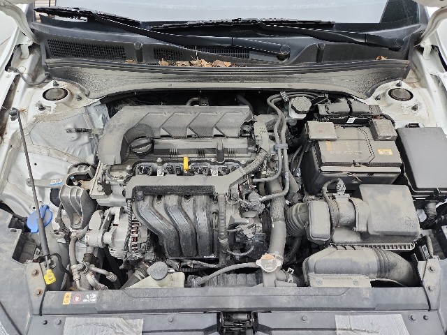 lotterental_211414140_nLQ6v_2.jpg