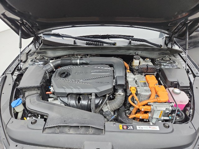 lotterental_22451060_uUNqP_9.jpg