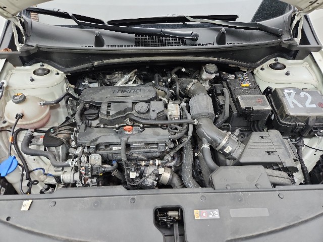 lotterental_21284750_0cKFM_8.jpg