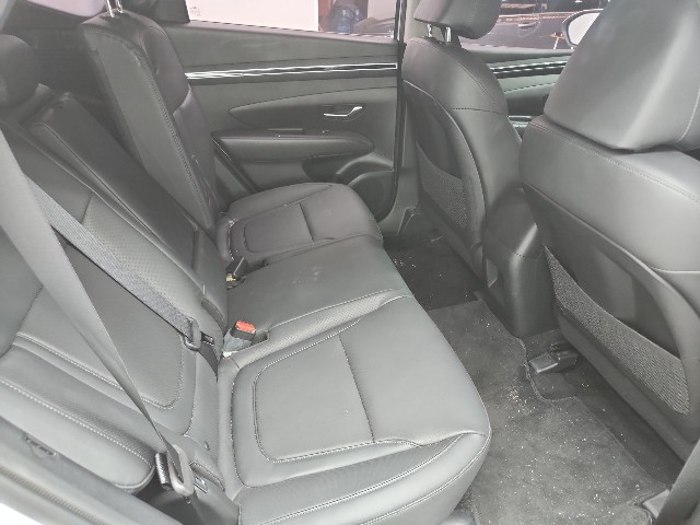 lotterental_21561529_oVyNq_1.jpg