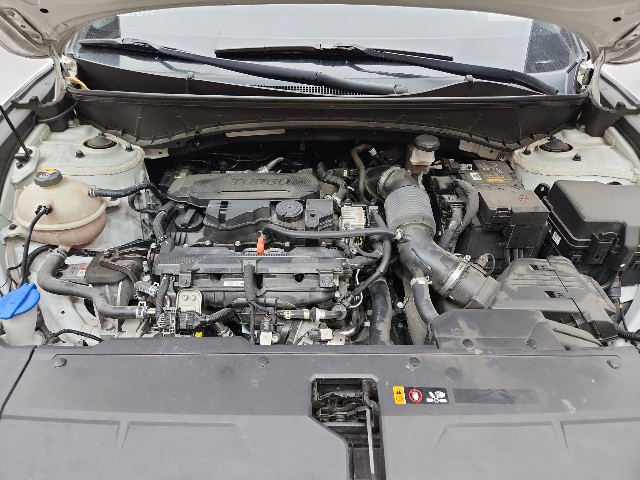 lotterental_215757624_aAxdN_8.jpg