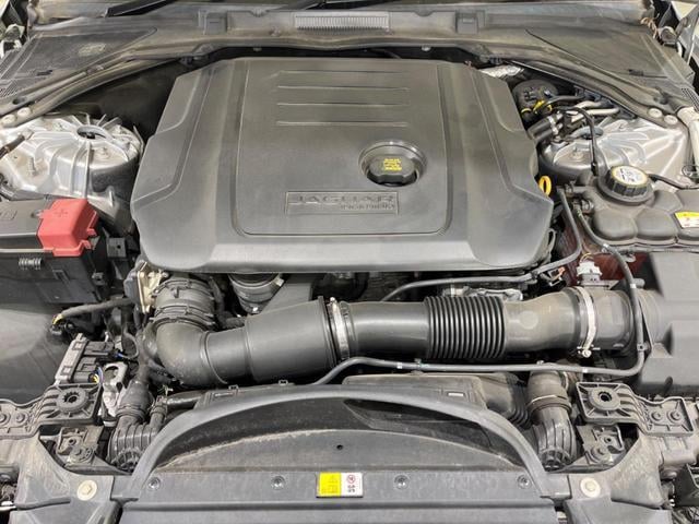 19991849_carP_l_11.jpg