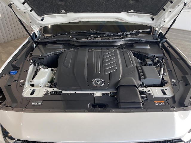 30259a797622ae8e3aa2f2225ffadea4.jpg