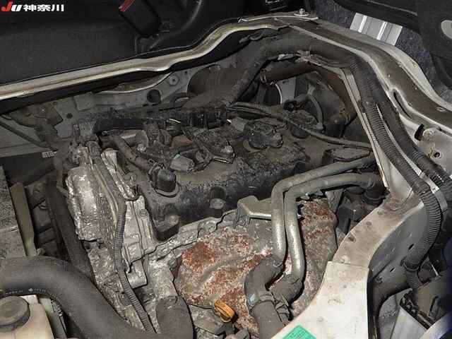 c71d2b0cdfe8f6308a343517142eff09.jpg