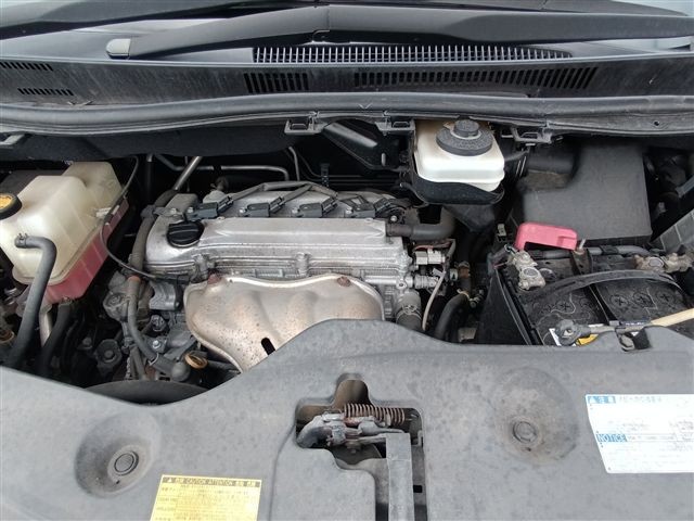 08.jpg