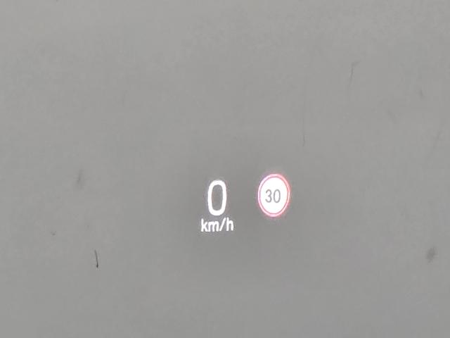 4393e4317056a5a27442579107f4617d.jpeg