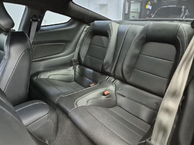 6081500335R12.jpg