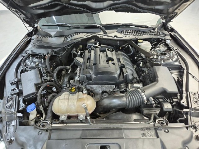6081500335R5.jpg