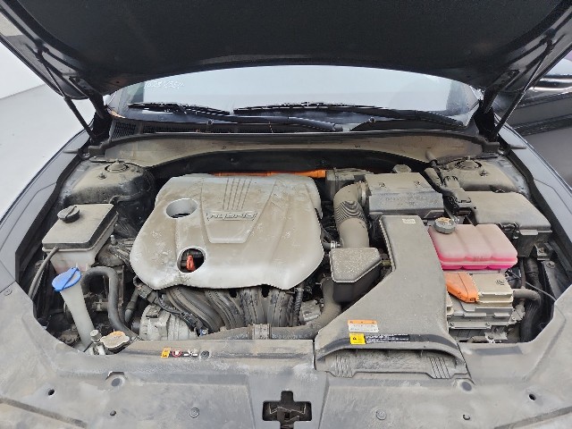 lotterental_220922771_XtOHy_8.jpg