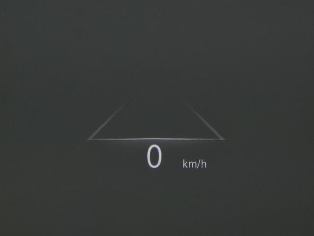 088f41a52529bf1bf3dd7dd643e4f264.jpeg