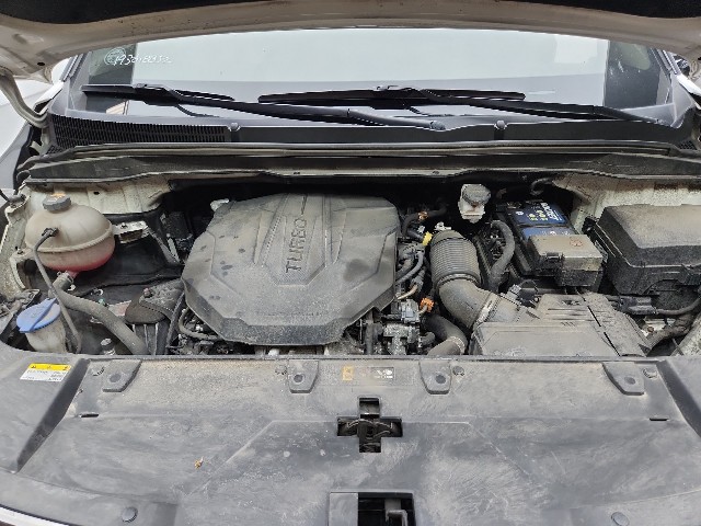 lotterental_153924610_RUNpE_9.jpg