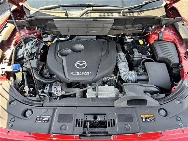 d9b41299174f865eada70c47e19f2483.jpg