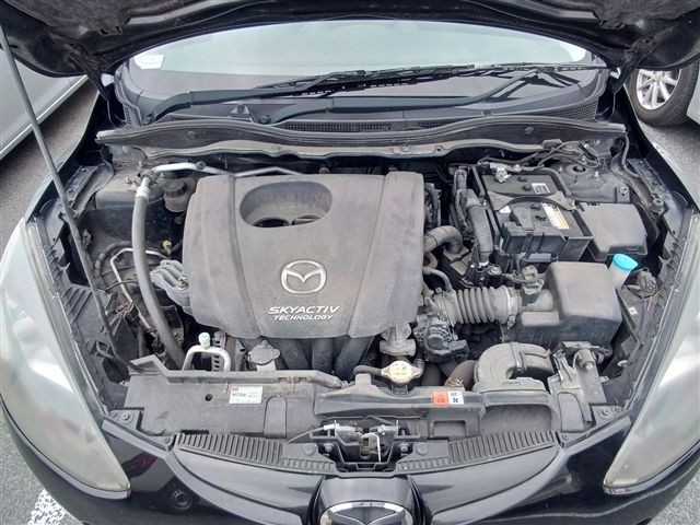 08.jpg