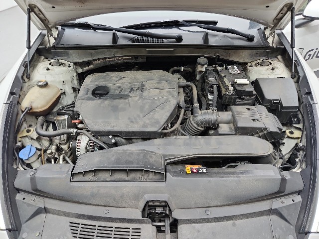 lotterental_233124497_ZH39s_5.jpg