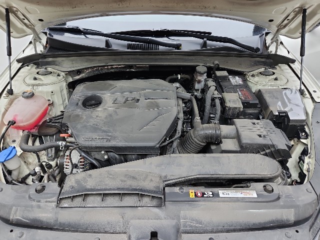 lotterental_163548406_d2JA5_9.jpg