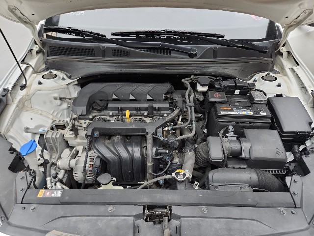 lotterental_223229284_FxWqR_8.jpg