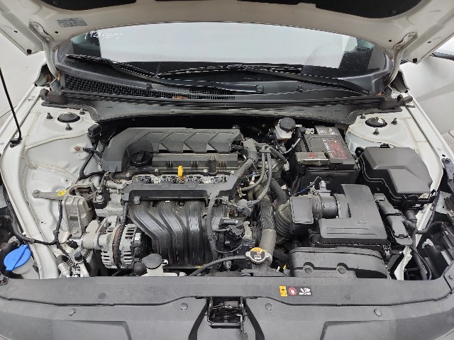 lotterental_104444447_E2Arq_9.jpg