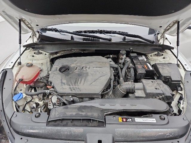 lotterental_231927804_IHOWF_7.jpg