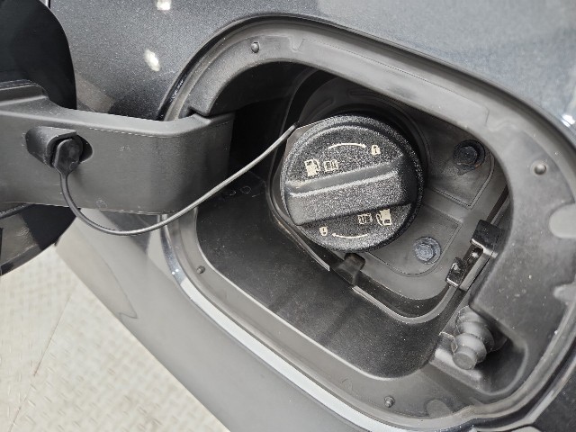 lotterental_150411654_s1iyg_8.jpg