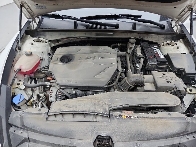 lotterental_164654739_vKFqO_6.jpg
