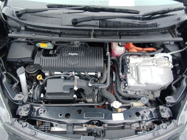08.jpg