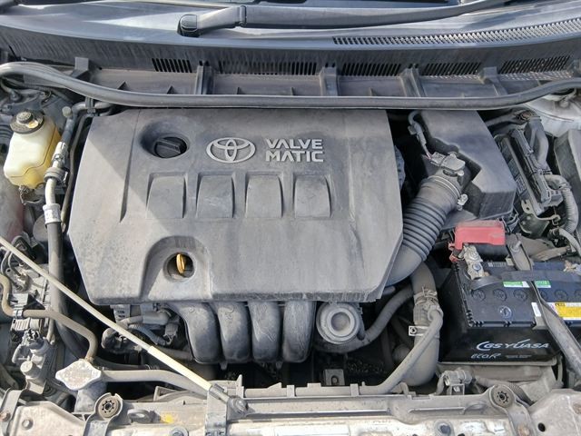 08.jpg
