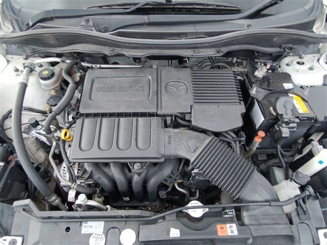 08.jpg