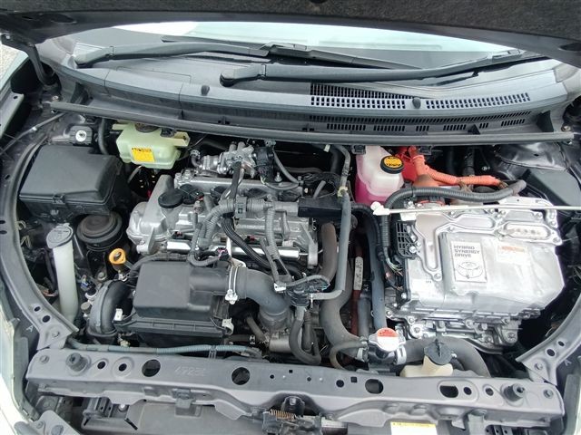 08.jpg