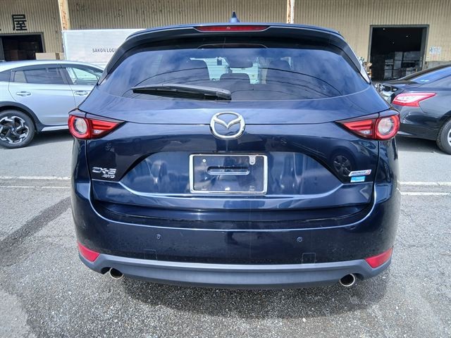 37.jpg