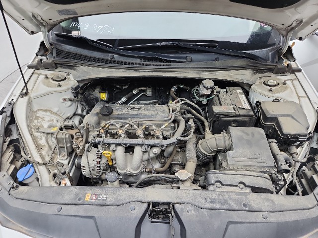 lotterental_154734628_aK2DF_7.jpg