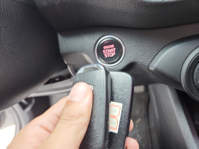 lotterental_15584061_xaIFP_7.jpg