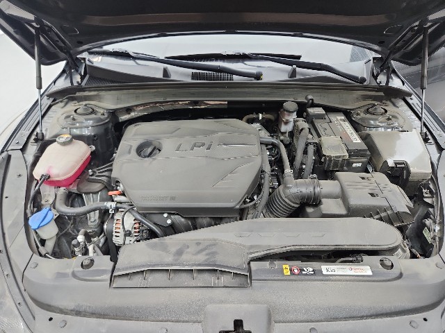 lotterental_15010586_lxIjs_9.jpg