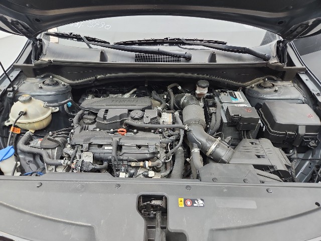 lotterental_152326408_u7vT4_7.jpg