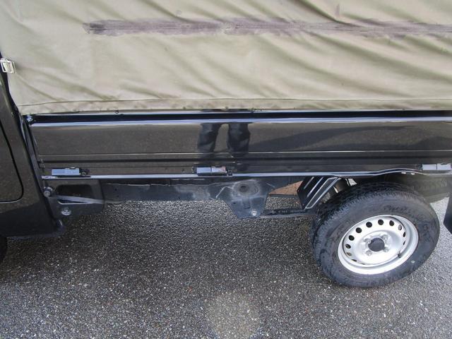 22753547_carP_l_4.jpg