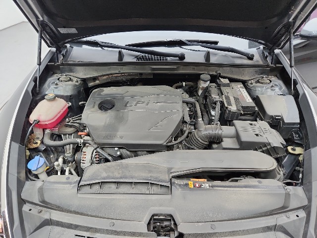 lotterental_102051698_8VHpO_7.jpg