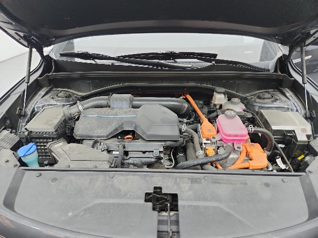lotterental_102301368_vieNt_9.jpg