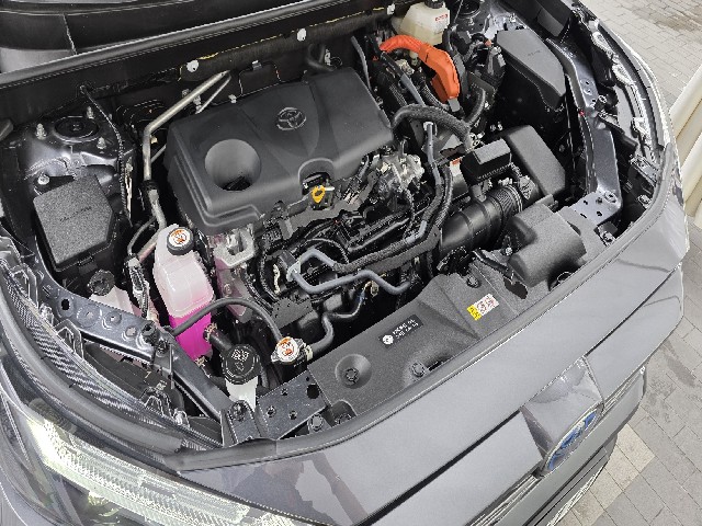 64518d10bb1ff920ad075c1c3d3ffa73.jpeg