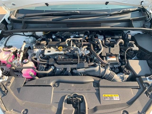 1999b67c5cdacfd087e717ce89ebb892.jpg