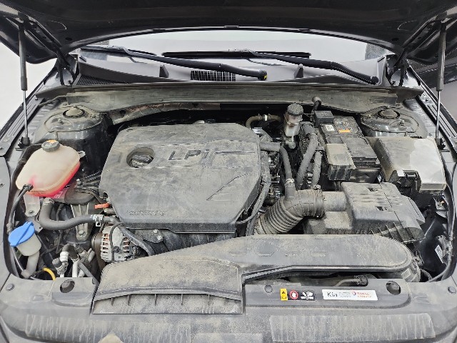 lotterental_102758493_7S36f_9.jpg