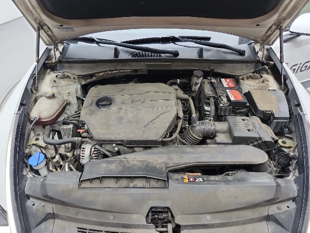 lotterental_104610810_uJCSg_6.jpg